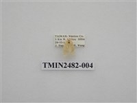 藏品(珠苔蛾)的圖片